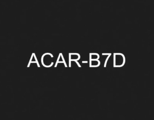 video8.jpg