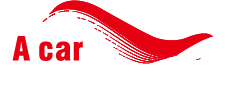 ACAR Dual Controls Профессиональный логотип